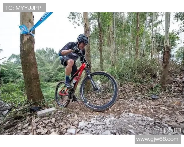 杭州极限运动队战术创新与转型解析深度剖析