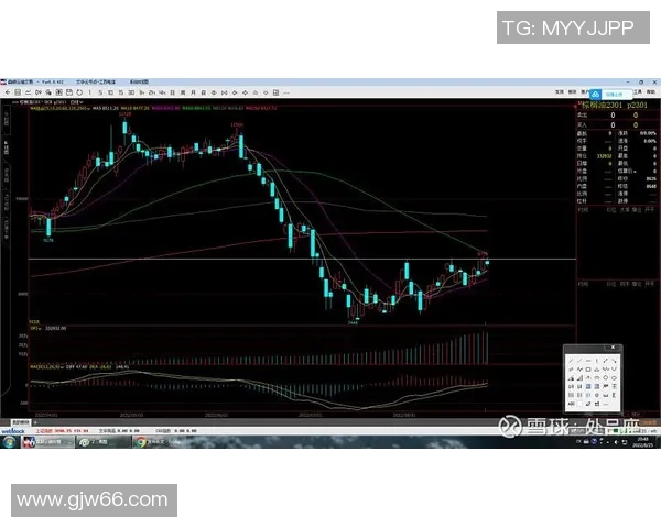 上海羽毛球队与深圳羽毛球队赛后复盘分析比赛节奏与战术对比