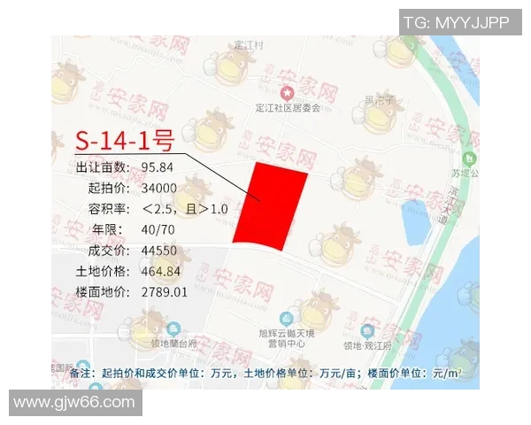 南京排球队展现强大实力大满贯赛事点评与分析